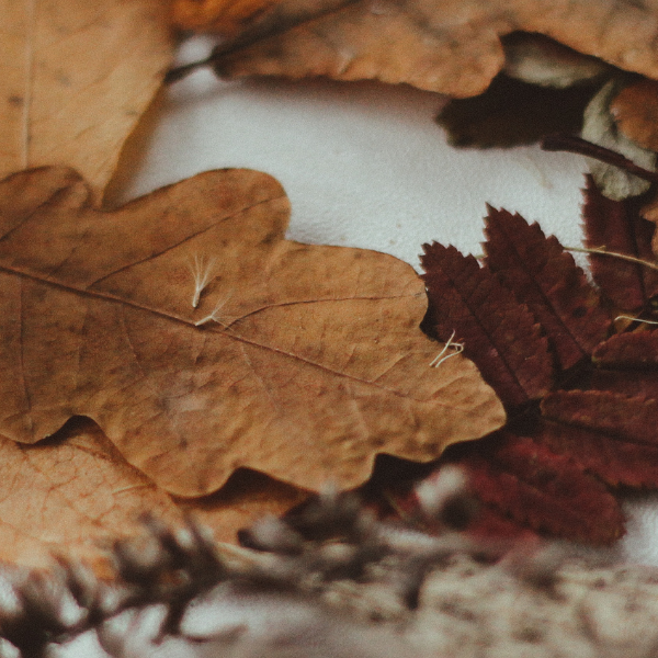 Autumn Breeze Candle